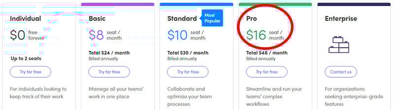 Monday.com Pro Plan for Large Businesses with Complex Projects