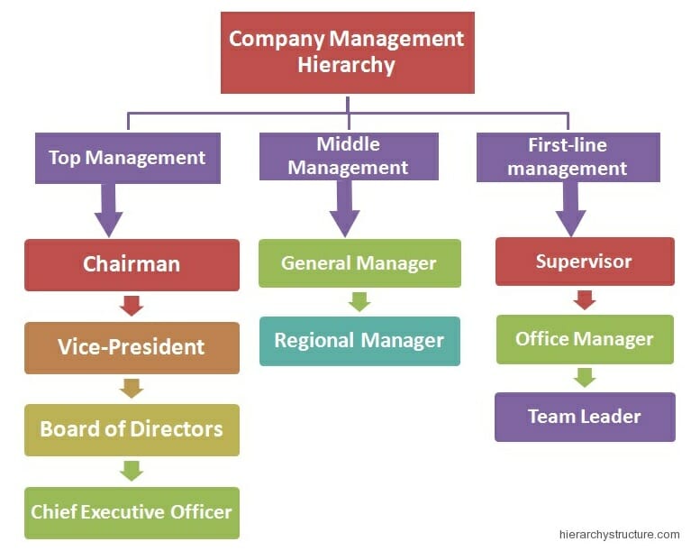 Company Management Hierarchy