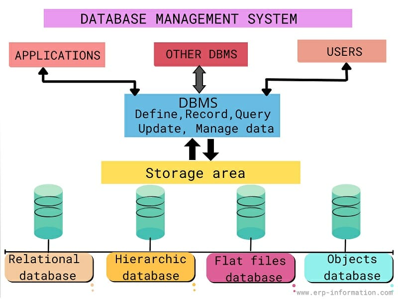 What Is a Database? (Definition, Types, Components)