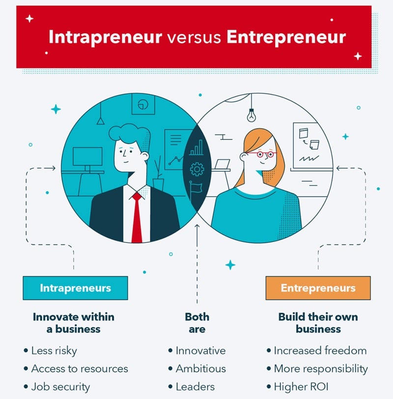 Intrapreneur Versus Entrepreneur