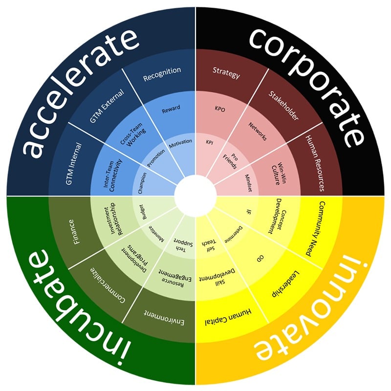 The Intrapreneur Ecosystem