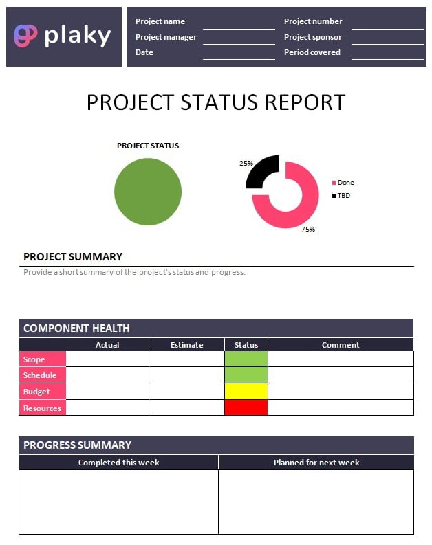 Project Status Report