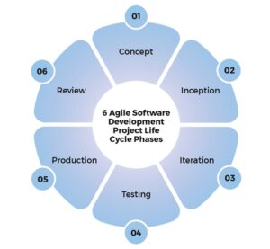 What Is Software Project Management? (Tools, Phases, Tasks)