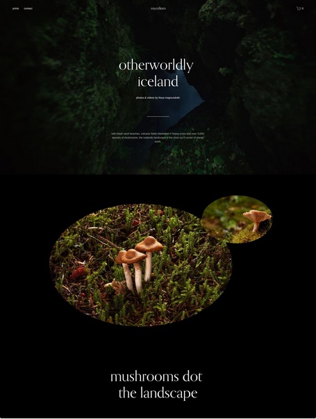 website-templates-img