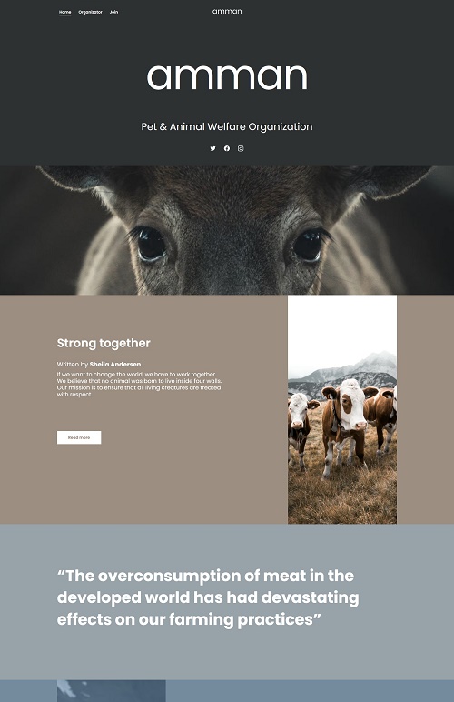 website-templates-img