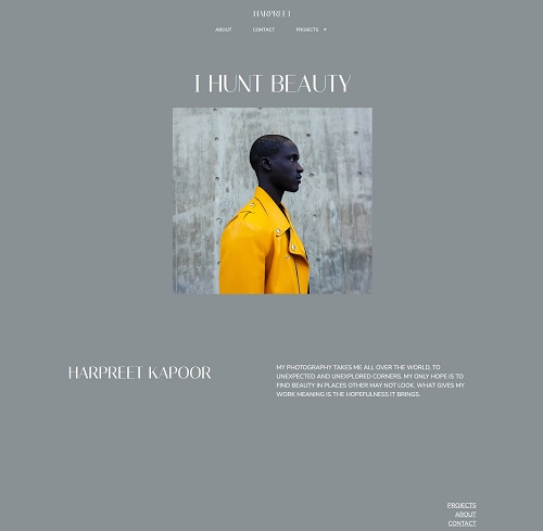 website-templates-img