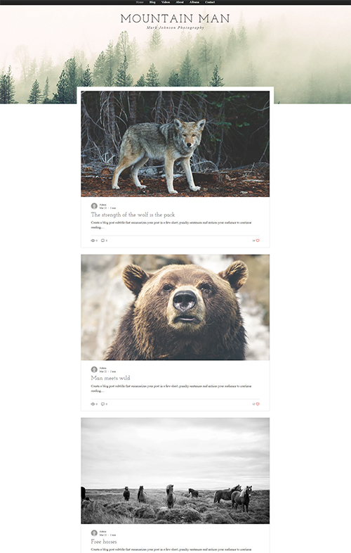 website-templates-img