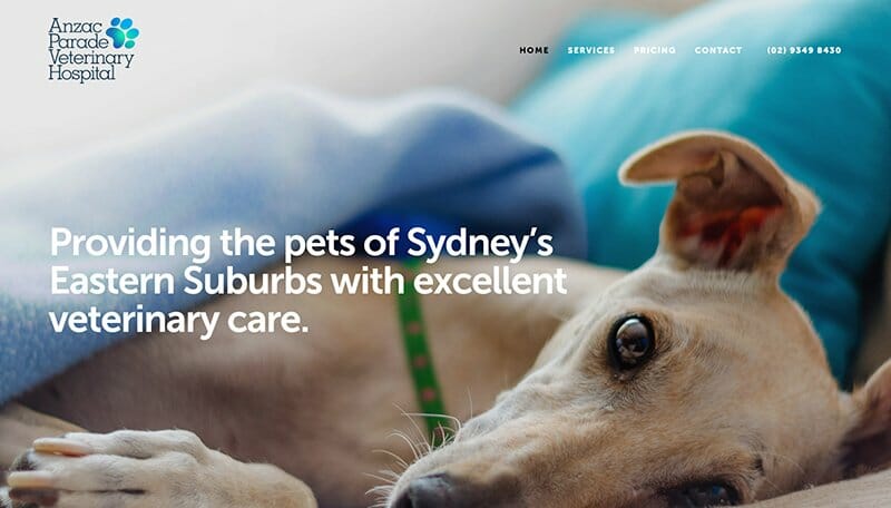 10. Anzac Parade Veterinary Hospital - Veterinary Websites Example