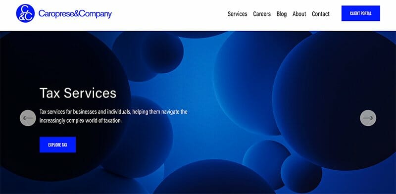 12. Caroprese & Company - Accountant Website Example