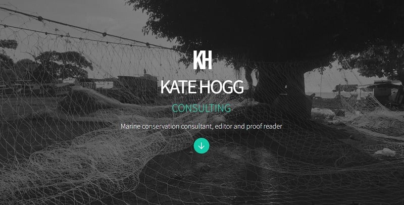 14. Kate Hogg - Writer Website example