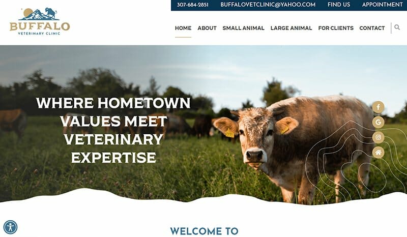 16. Buffalo Veterinary Clinic - Veterinary Websites Example
