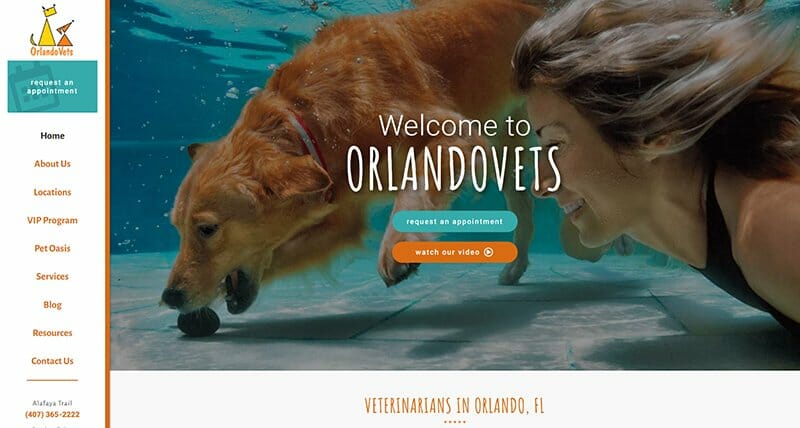 17. OrlandoVets - Veterinary Websites Example