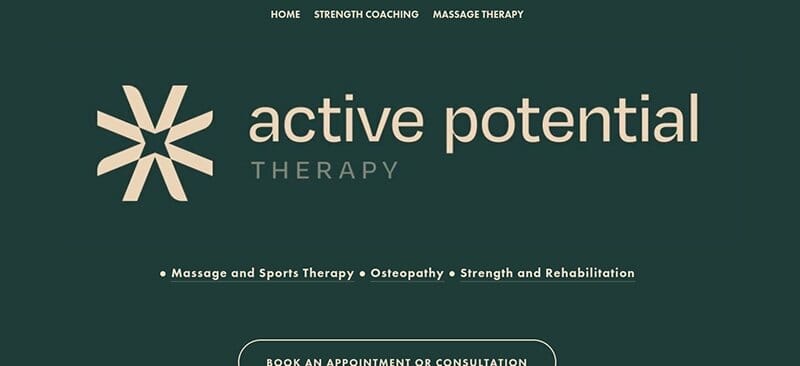 18. Active Potential Therapy - Therapist Website Example