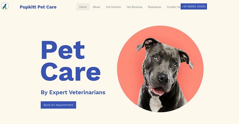 2. Pupkitt Pet Care - Veterinary Websites Example