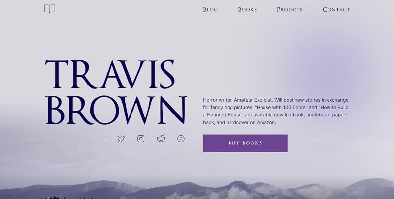 22. Travis Brown - Writer Website example