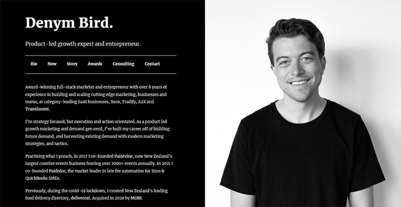 24. Denym Bird - Consulting Website Example