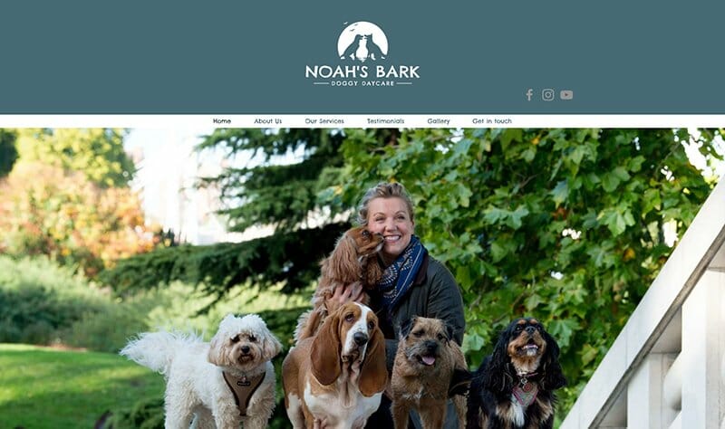 3. Noah's Bark Doggy Daycare - Veterinary Websites Example