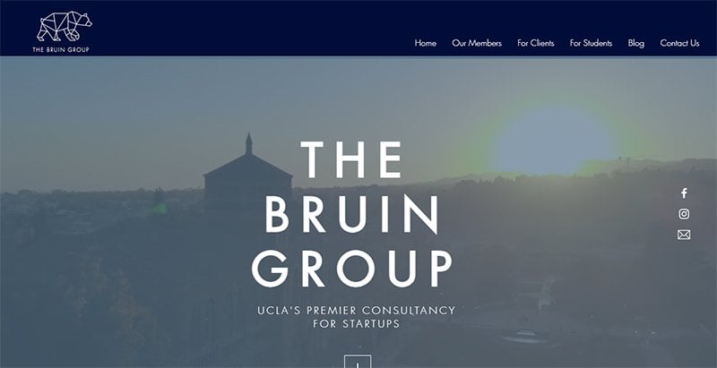 5. The Bruin Group - Consulting Website Example
