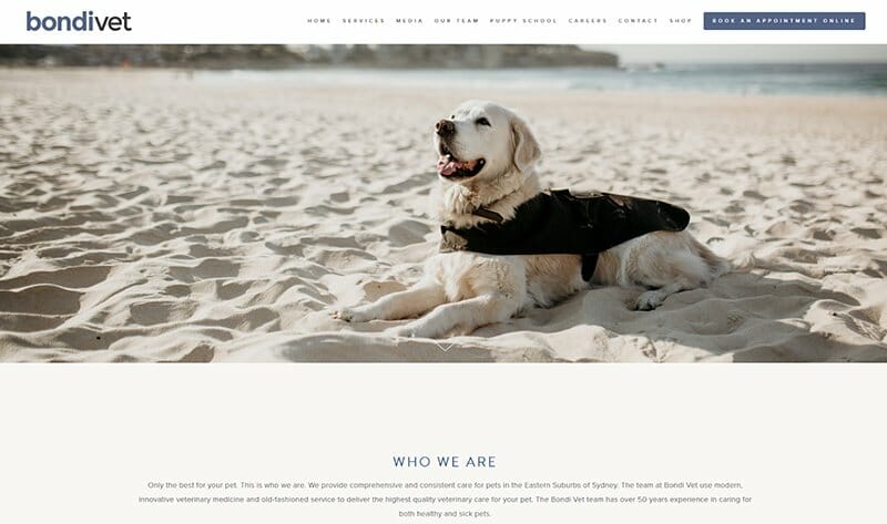 6. Bondi Vet Hospital - Veterinary Websites Example