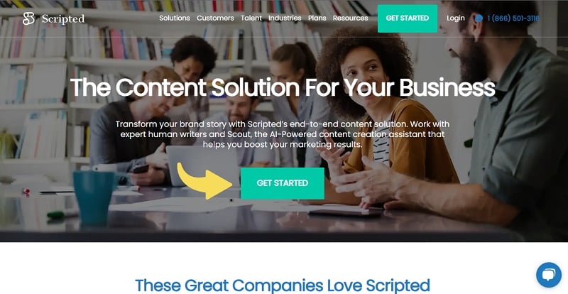7. Scripted - Writer Website example