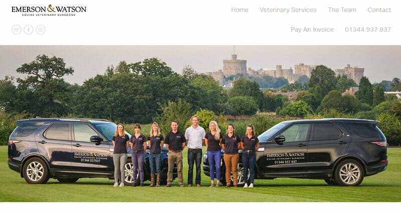 9. Emerson and Watson - Veterinary Websites Example