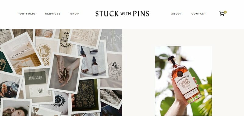 9. Stuck With Pins - Illustrator Portfolio Example