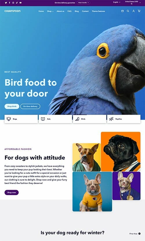 website-templates-img