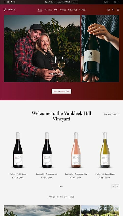 website-templates-img