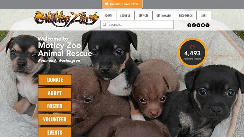 10. Motley Zoo Animal Rescue - Charity Website Example