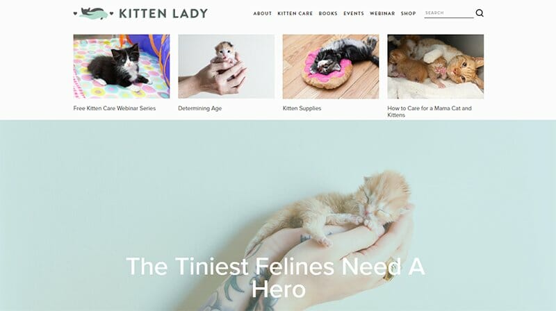11. Kitten Lady - Charity Website Example