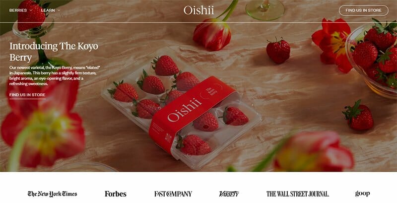 11. Oishii - Modern Website Example