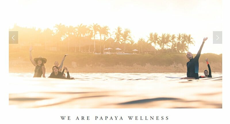 14. Papaya Wellness - Yoga Website Example