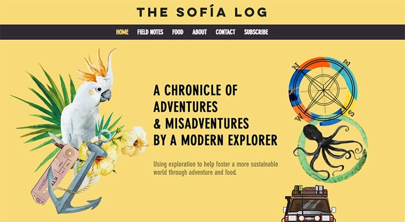 16. The Sofia Log - Modern Website Example