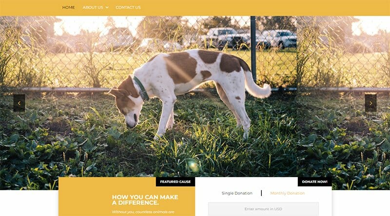 18. Furry Friends Sanctuary - Charity Website Example