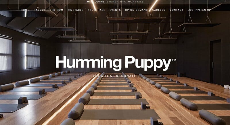 2. Humming Puppy - Yoga Website Example