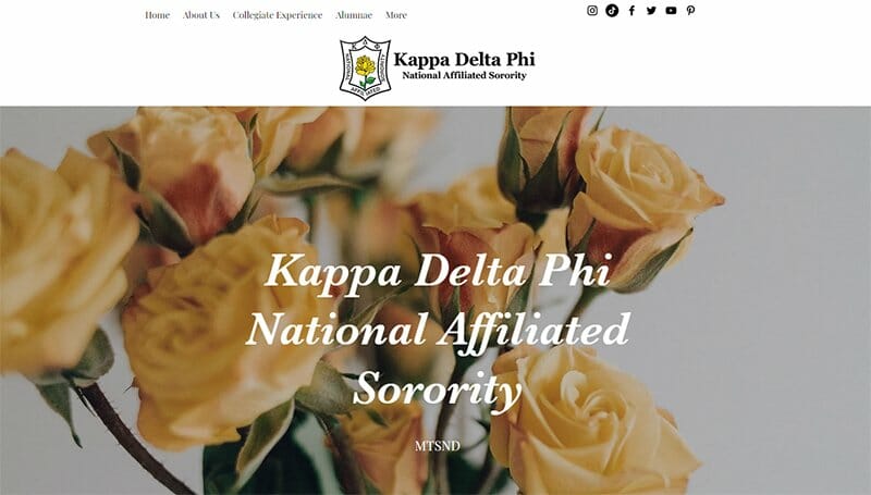 27. Kappa Delta Phi - Charity Website Example