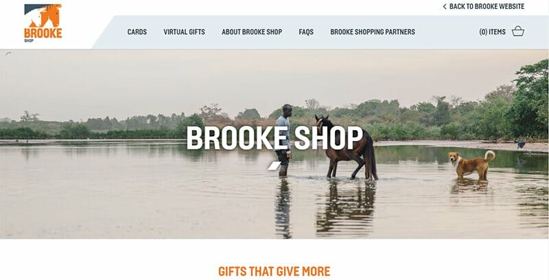 34. Brooke - Charity Website Example