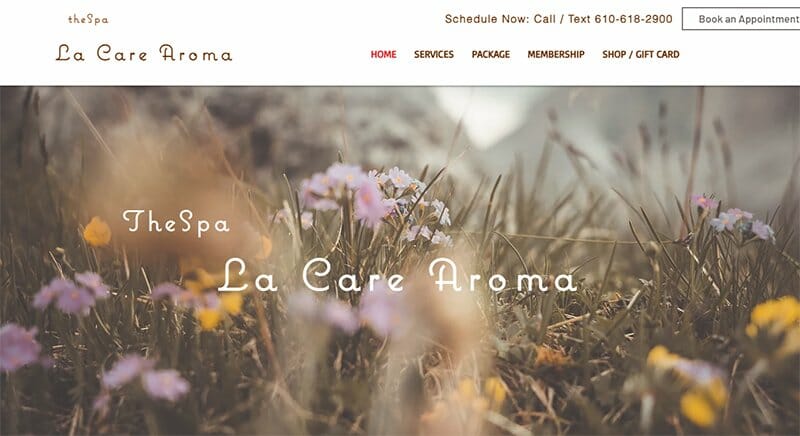 8. La Care Aroma - Massage Therapist Website Example