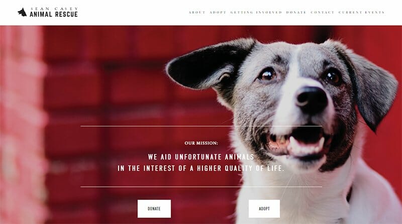 9. Sean Casey Animal Rescue - Charity Website Example