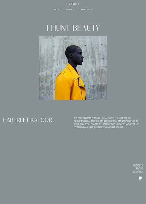website-templates-img