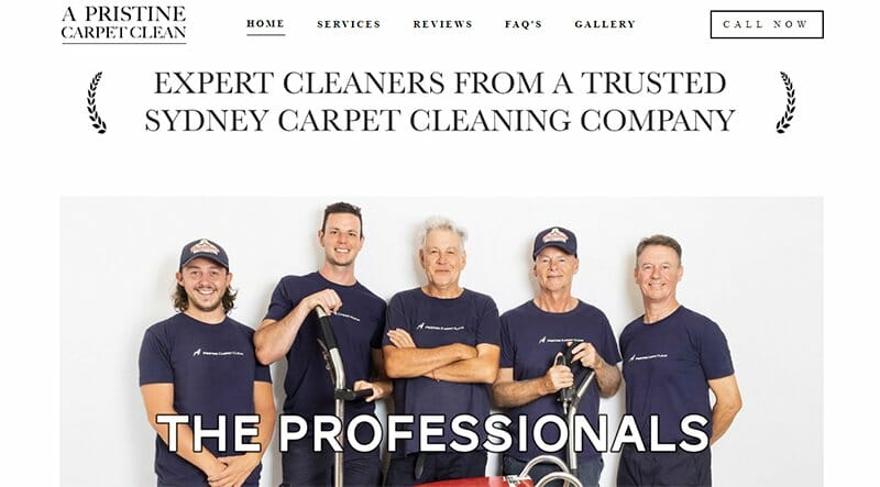 1. A Pristine Carpet Clean - Cleaning Website Example