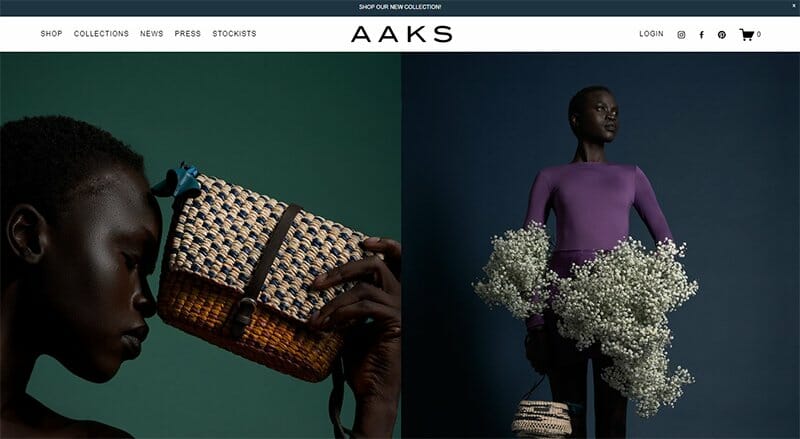 1. AAKS - Dropshipping Stores Example