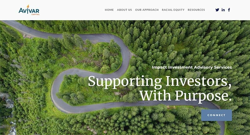 1. Avivar Capital - Financial Website Design Example