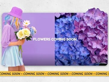 website-templates-img