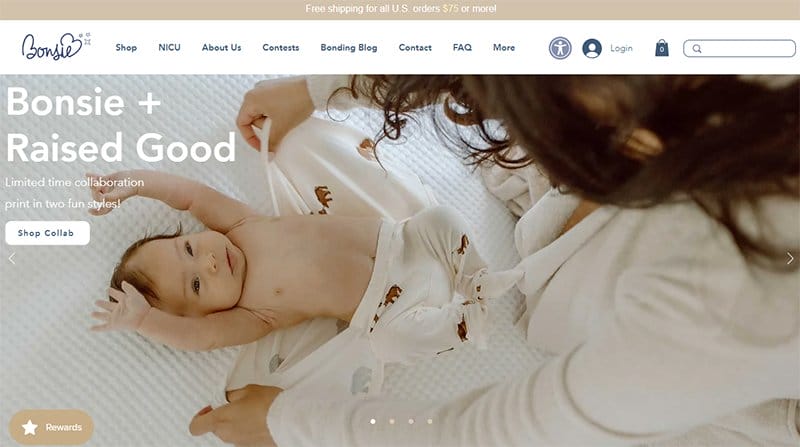 1. Bonsie - Best Website Carousel Example