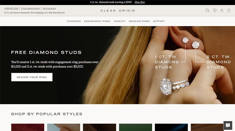 10. Clean Origin - Best Elegant Website Example