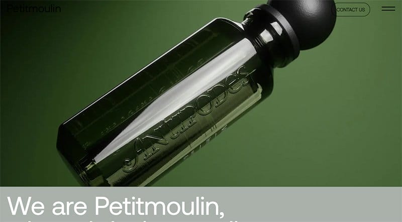 13. Petitmoulin Studio - Best Editor X Website Example
