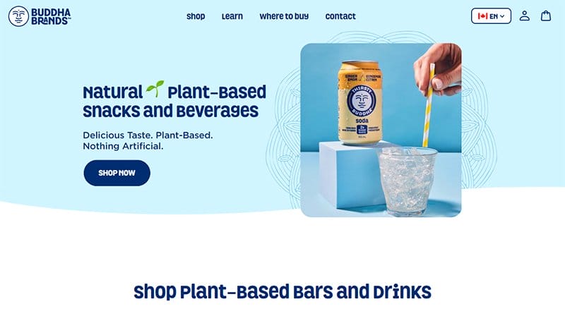 15. Buddha Brands - Best Animation Website Example
