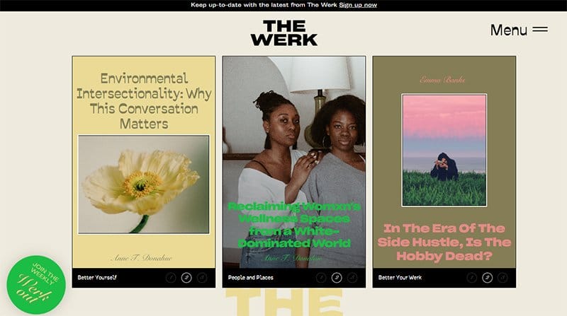 15. The WERK - Best News Website Designs For Inspiration
