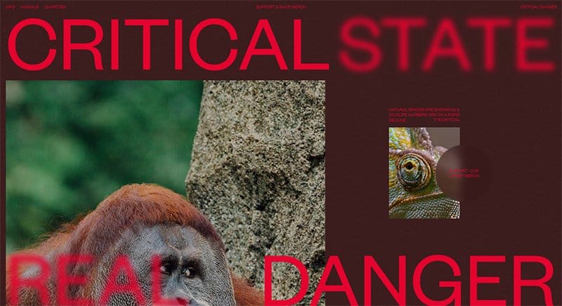 16. Critical Danger - Awesome Websites Designs for Inspiration Example